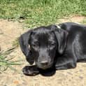 Photo of Jäger