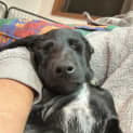Photo of Jäger