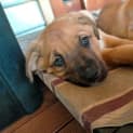 Photo of Fronsac