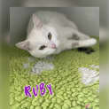 Photo of Ruby