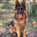 Photo of Tyson