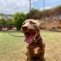 Photo of Maggie