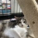 Photo of Stormy