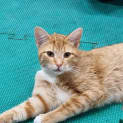 Photo of Bruno