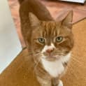 Photo of Charlie