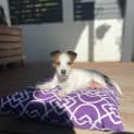 Photo of Mojito
