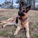 Photo of Skye