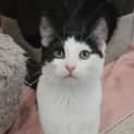 Photo of Mindi