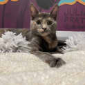 Photo of Eris