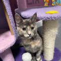 Photo of Eris