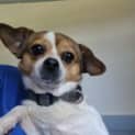 Photo of Flynn