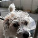Photo of Maverick