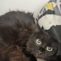 Photo of Wednesday