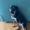 Photo of Sooty