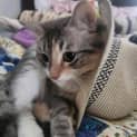 Photo of Baby