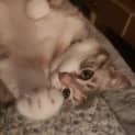 Photo of Baby