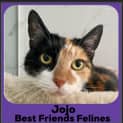 Photo of Jojo 