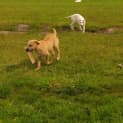 Photo of Oisin