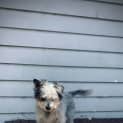 Photo of Teddy