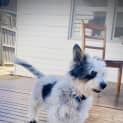 Photo of Teddy