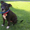Photo of Solly