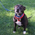 Photo of Solly