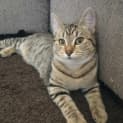 Photo of Lucy