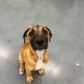 Photo of Oliver