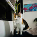 Photo of Connie