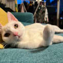Photo of Maya
