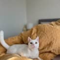 Photo of Maya