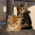 Photo of Larry