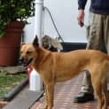 Photo of Roxy