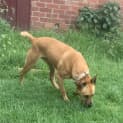 Photo of Roxy