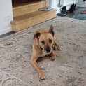Photo of Roxy