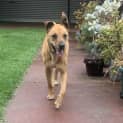 Photo of Roxy