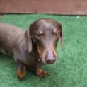 Photo of Jack