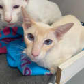 Photo of Benny & Reggie