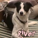 Photo of Arty & River