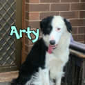 Photo of Arty & River