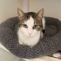 Photo of Izzy