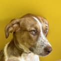 Photo of Chloe