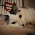 Photo of Wilbur