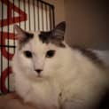 Photo of Wilbur