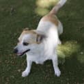 Photo of Skiffy