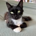 Photo of Pixie Mae