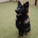 Photo of Star