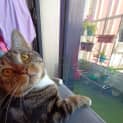 Photo of Duca