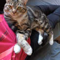 Photo of Duca