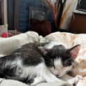 Photo of Penny